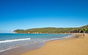 Baratti Beach
