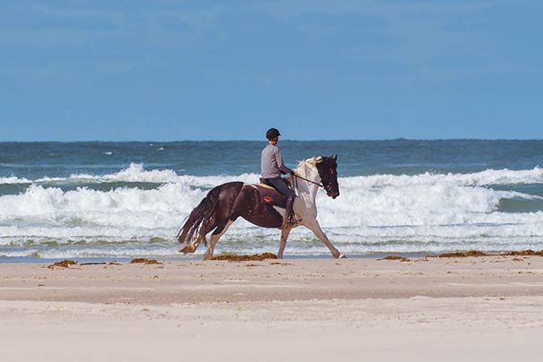 Reiten am Strand