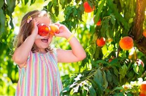 Last Minute Urlaub Toskana