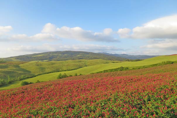 Naturlandschaft nahe Volterra