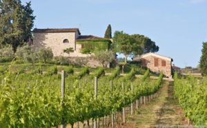 Ferienwohnungen in Caprese Michelangelo