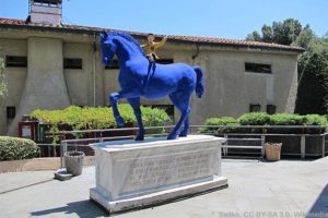 das Pinocchio Museum