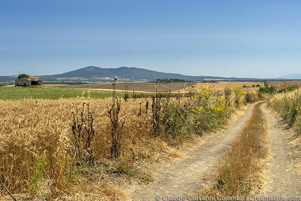 Naturlandschaft bei Capalbio