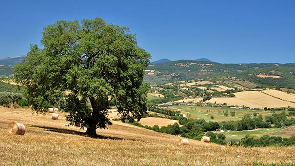 Naturlandschaft bei Saturnia